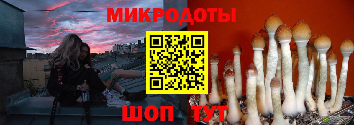 Ижевск  Галлюциногенные грибы Cubensis  Вход с VPN 